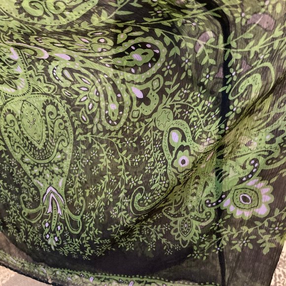 XS Bebe Green & Black Sheer, Lined Maxi Dress - Picture 12 of 15